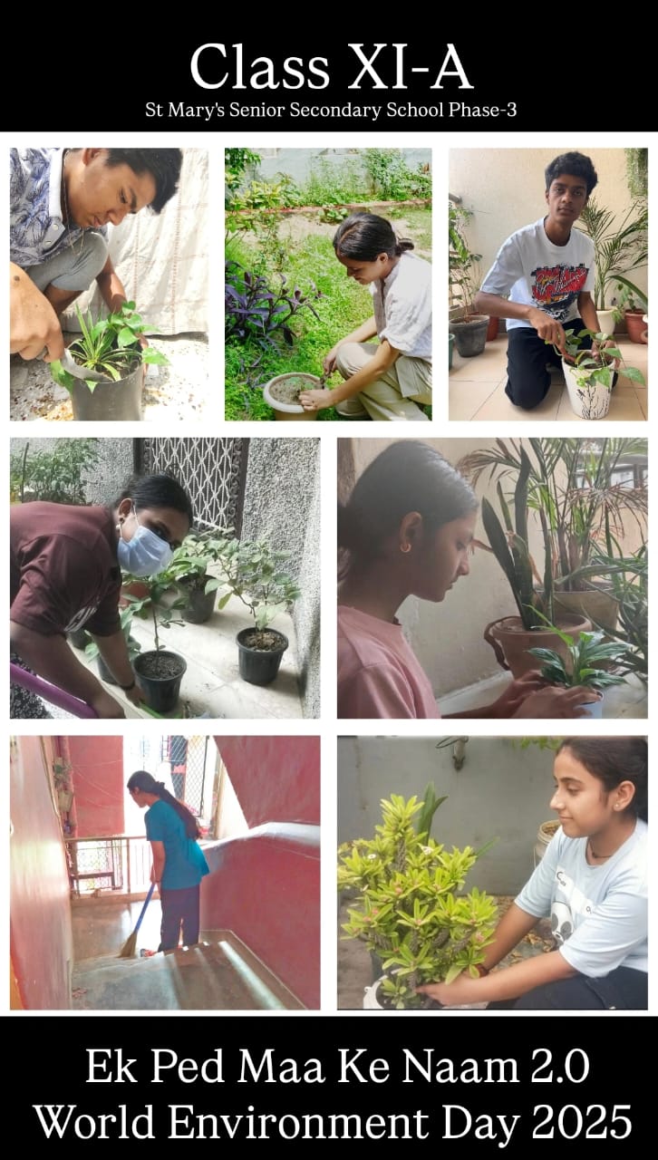 World Environment Day -5 June 2025